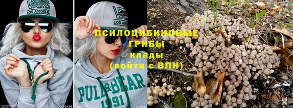 прущая мука Богородск