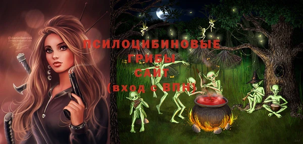 бутират Богородицк