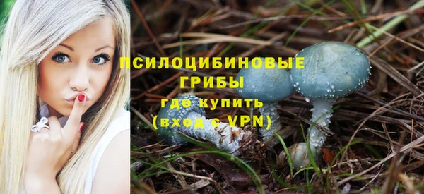 прущая мука Богородск