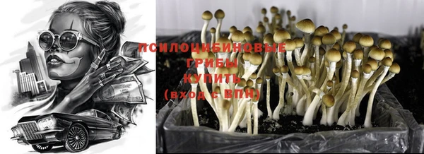 МДПВ Богданович
